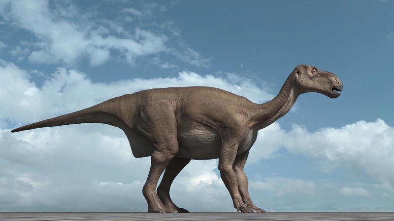 Dinosaurs At Dusk: The Origins of Flight