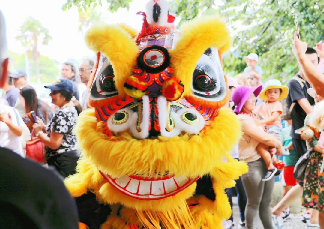 2026 Lunar New Year Gala