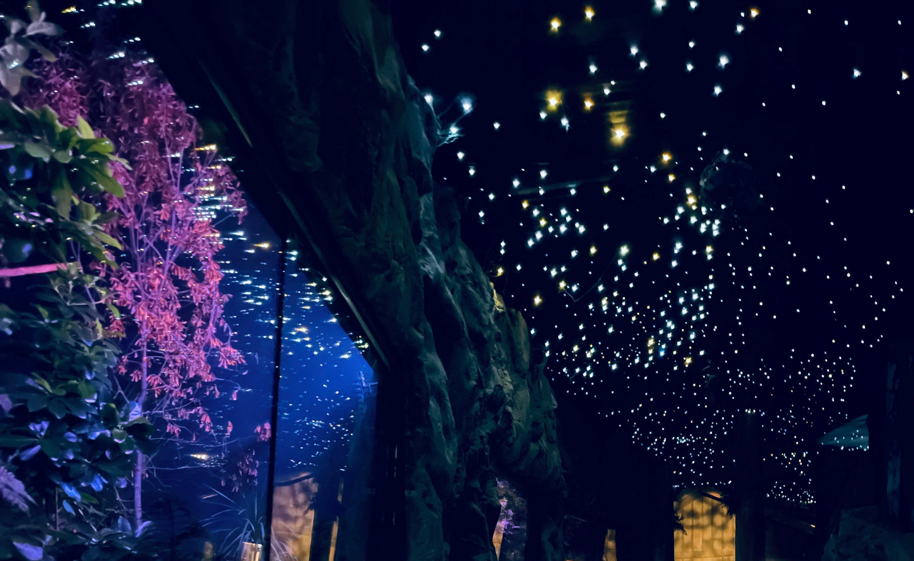 Mānawatia a Matariki Auckland Zoo