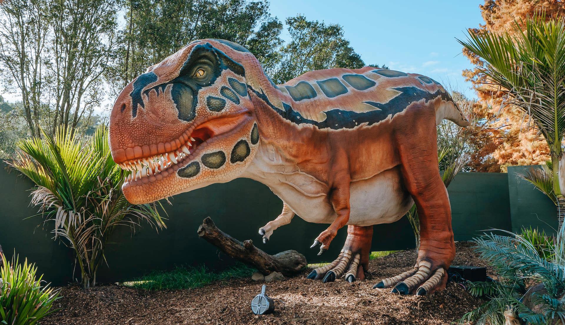 Dinosaur Discovery Track