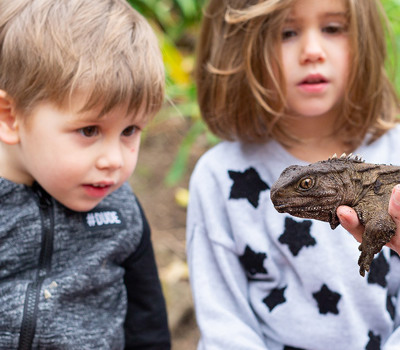 April School Holidays at Auckland Zoo