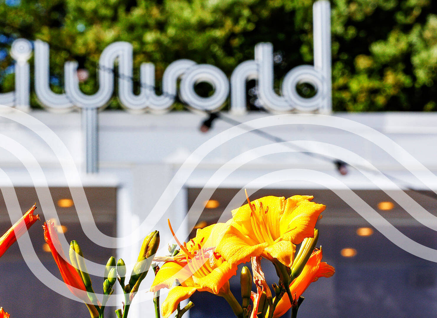 Mother's Day at Lilyworld