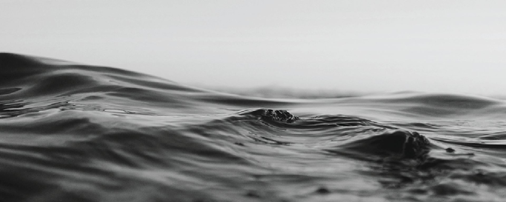 Bizet's - The Pearl Fishers