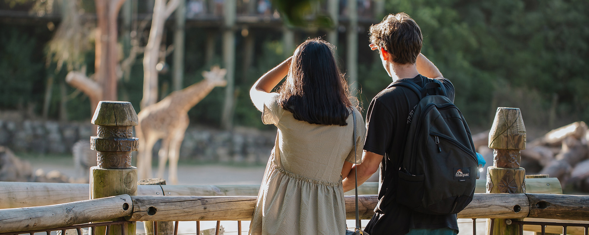 Te Pō Hono Zoo Lates