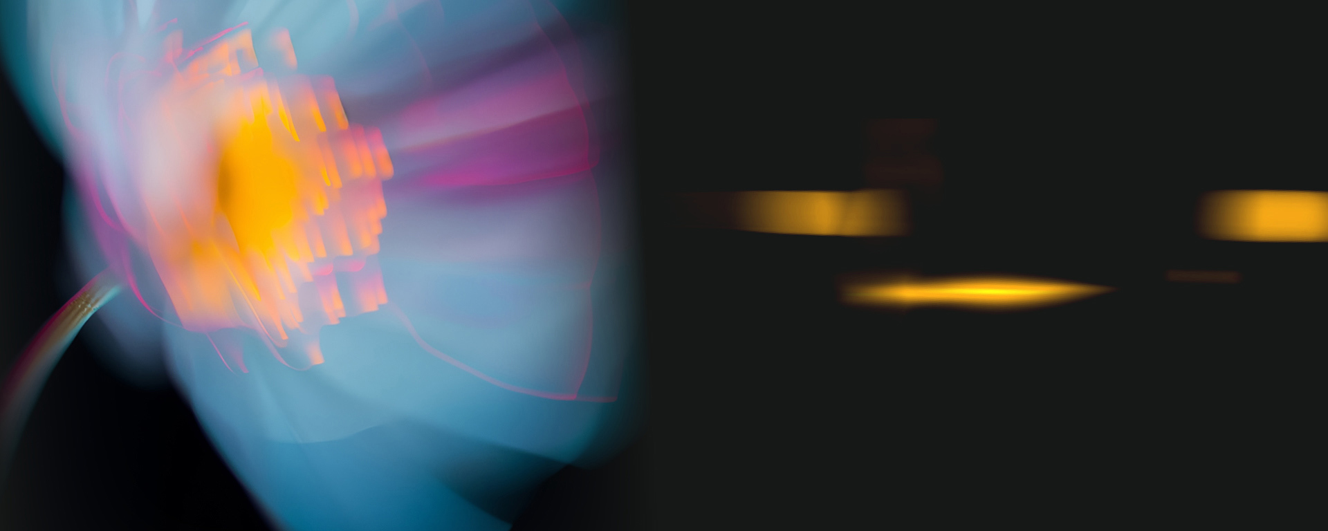 Mendelssohn & Dvorak