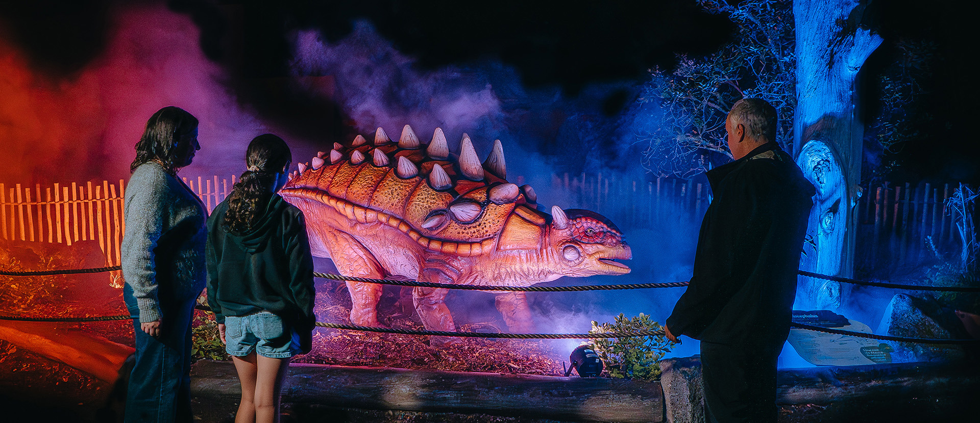 Dinosaur Nights & Lights
