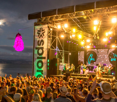 Top Summer Festivals in Auckland