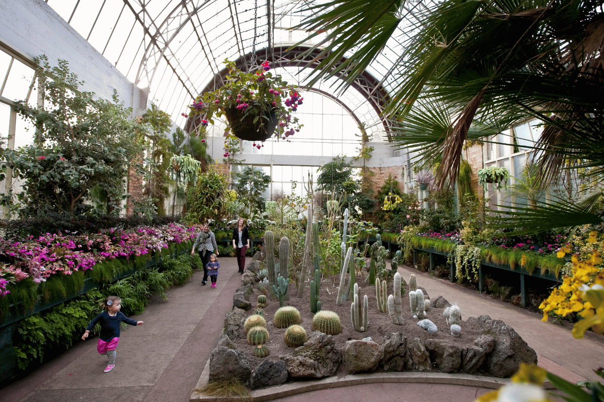 10 free things to do in Auckland