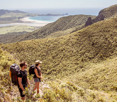 Aotea Great Barrier Island