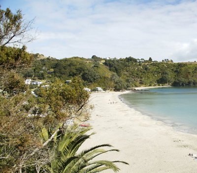 Big Aroha Tours