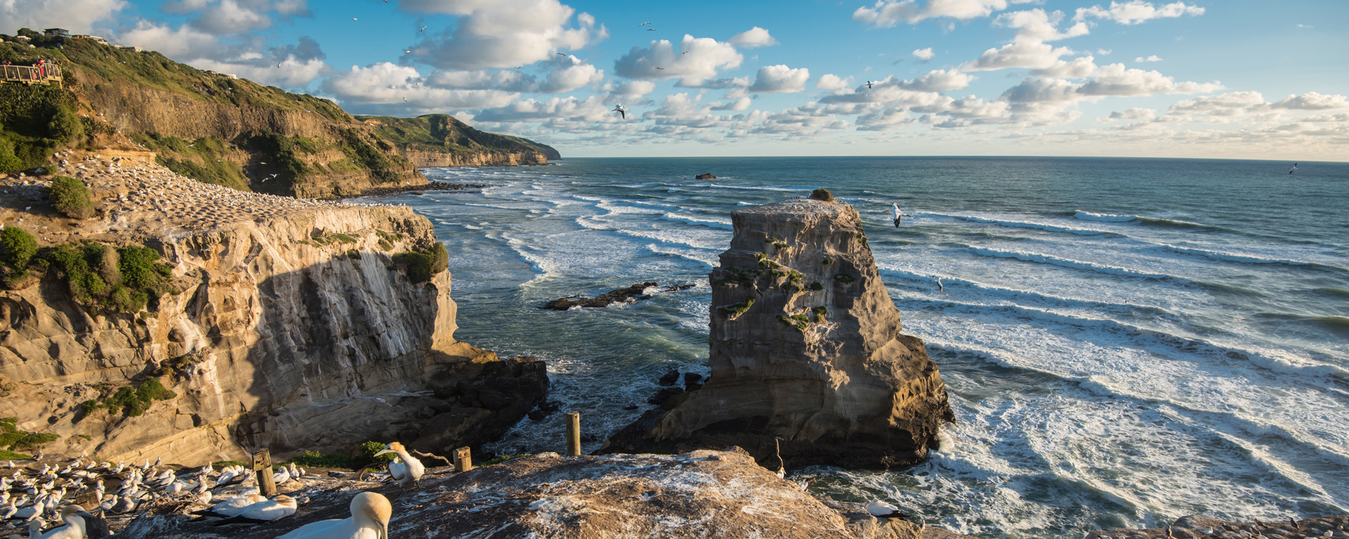 Muriwai