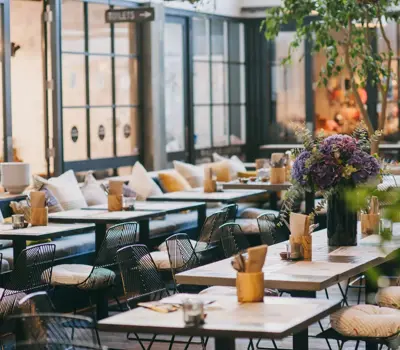 Bird On A Wire Ponsonby