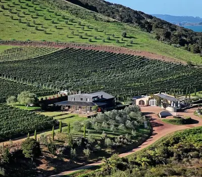 Poderi  Crisci