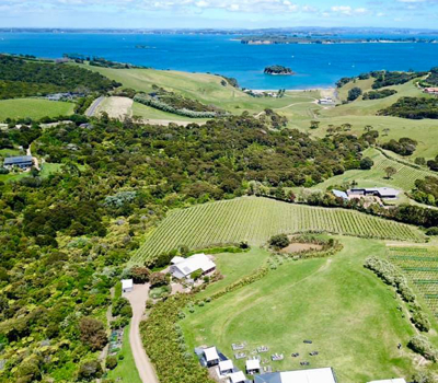 Cable Bay Vineyards
