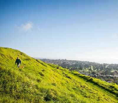 Takarunga Discover Auckland - Travel, Tourism & Events | AucklandNZ.com