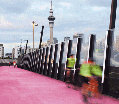 Amazing cycle paths in Auckland