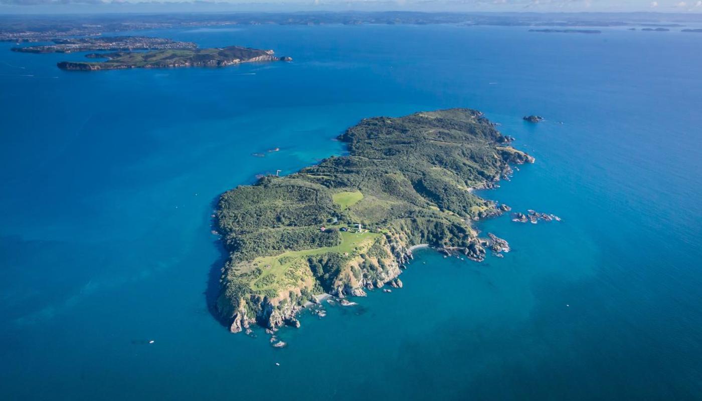Aerial view of Tiritiri Matangi Island