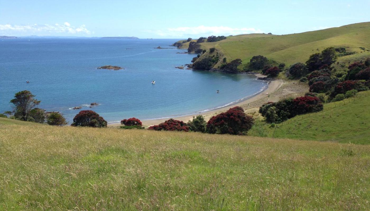 Motutapu Island