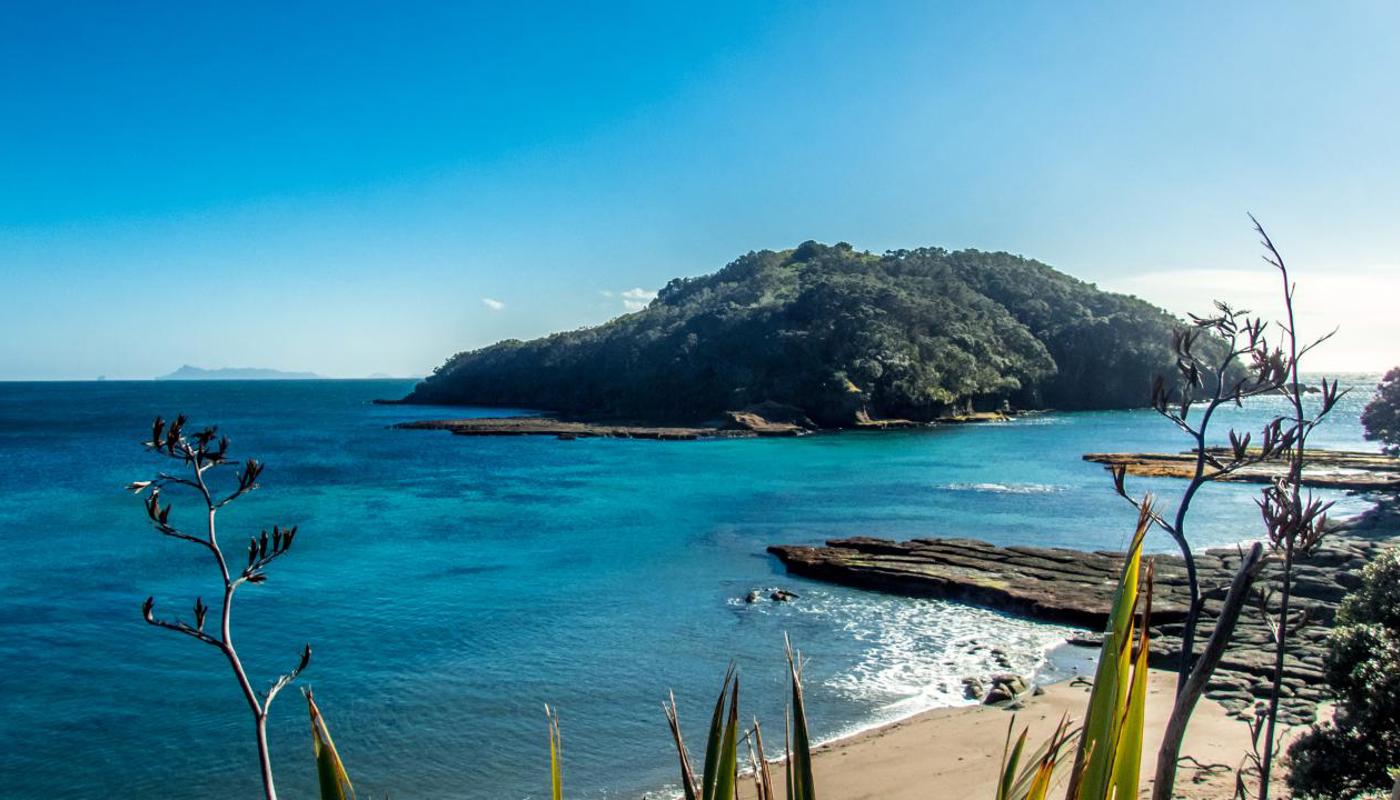 Goat Island Marine reserve taken from the main car park.