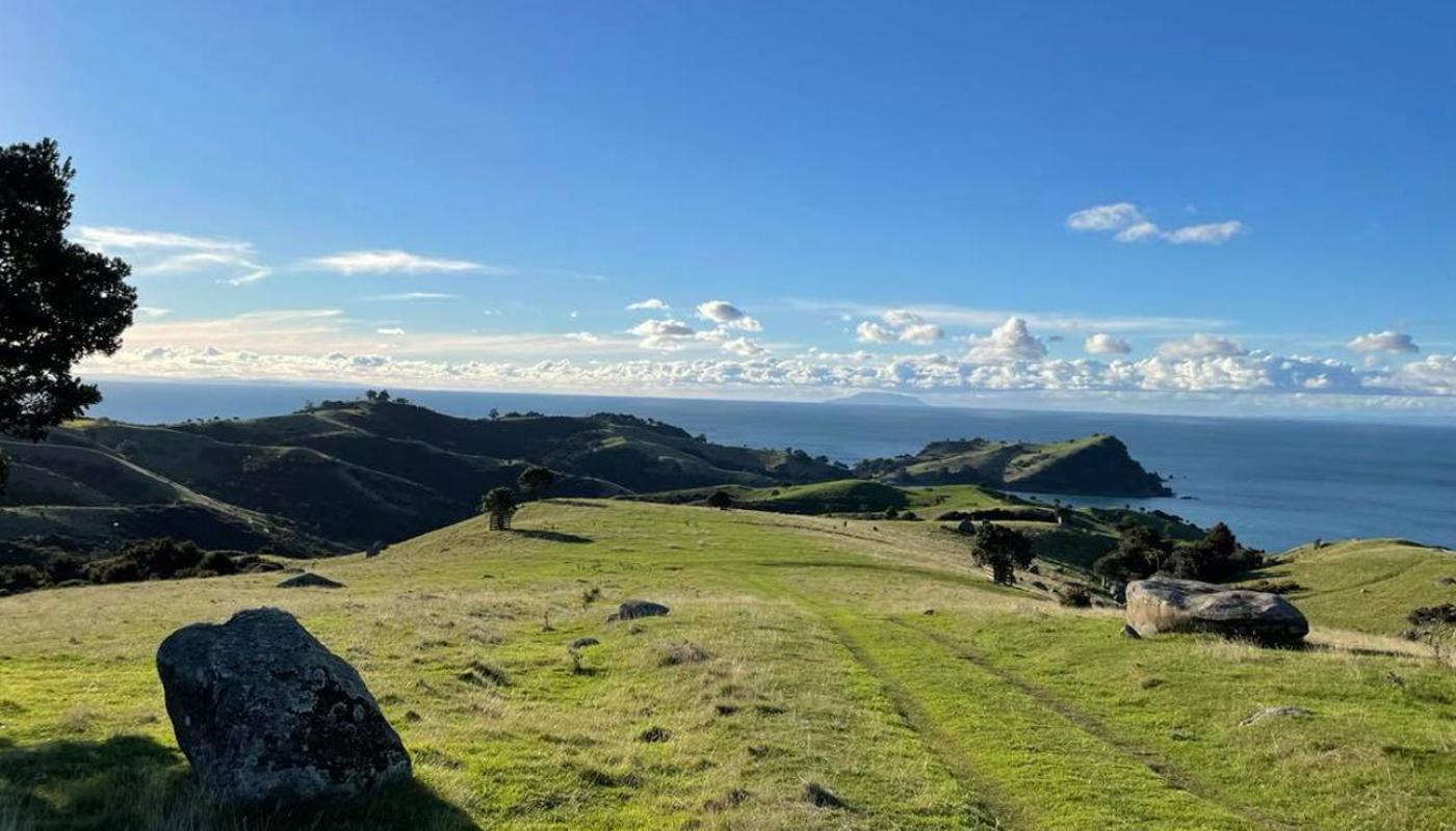 Historic Reserve and Hauraki Gulf