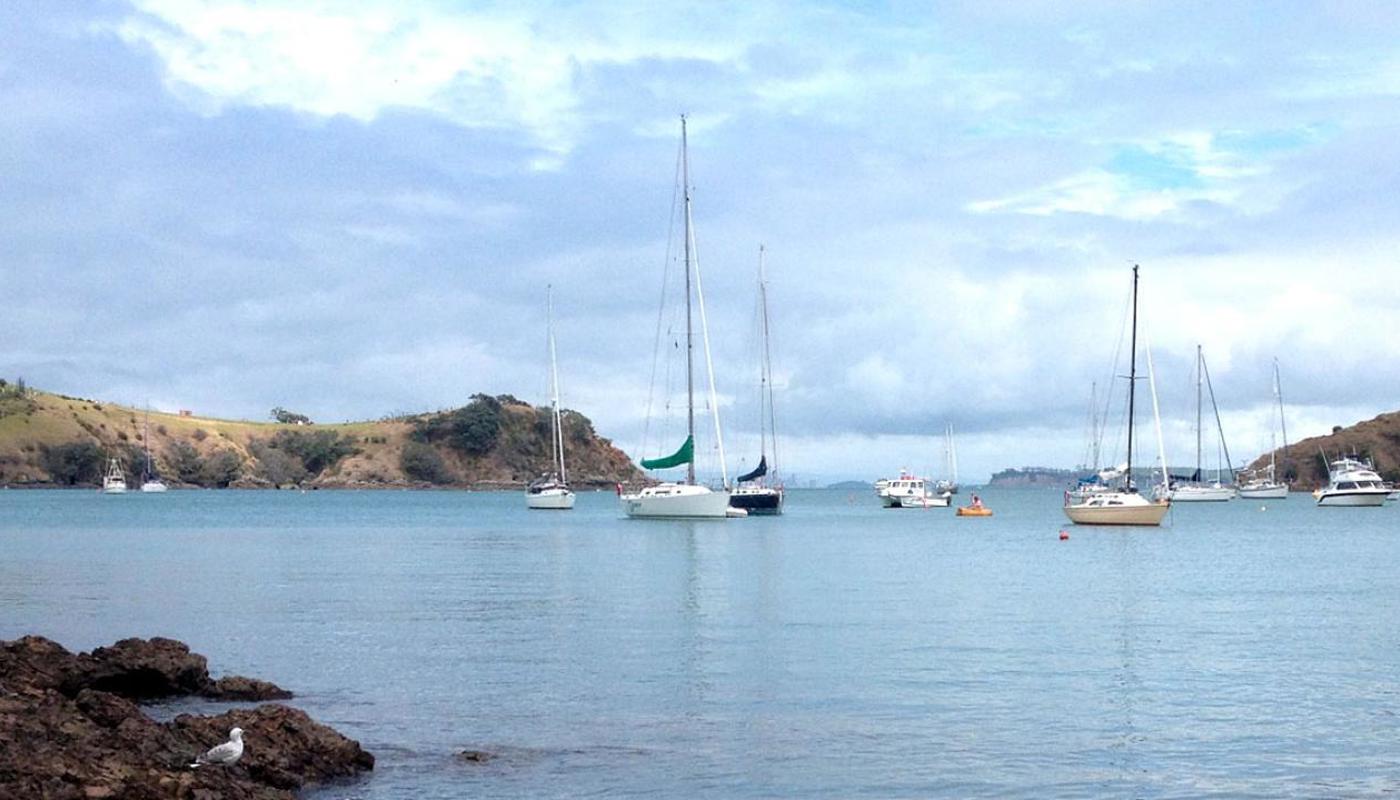 Waiheke Island Double Headland Walk