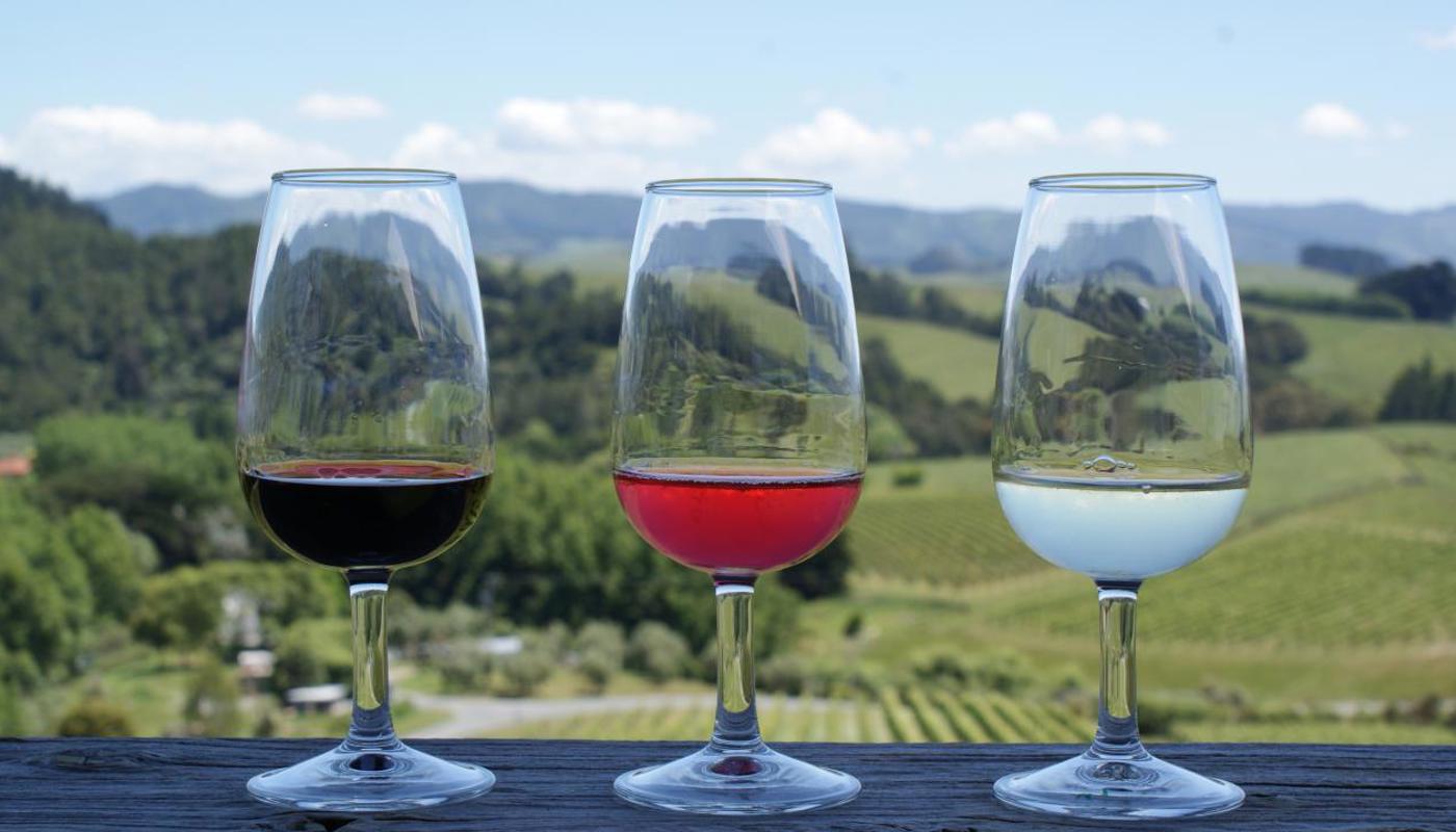 Wine with a view. Matakana Coast back drop of stunning landscapes.