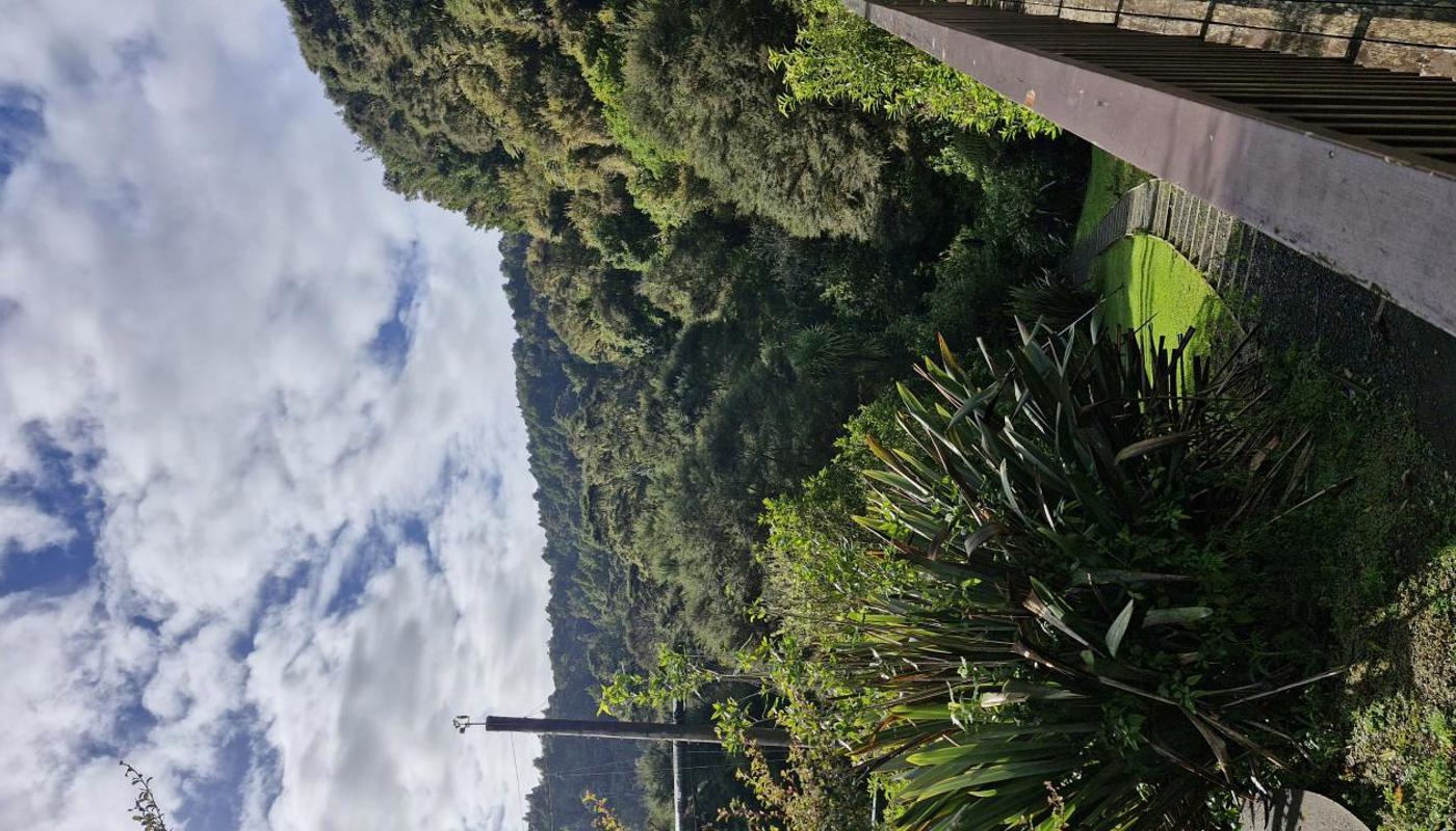 Lovely bush setting right within the Hunua Ranges Regional Park.