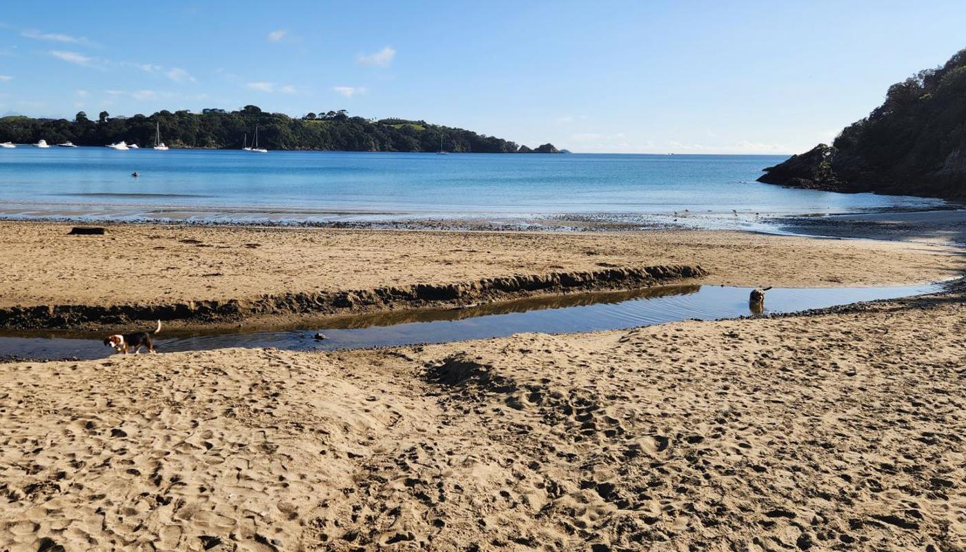 Little Oneroa Beach