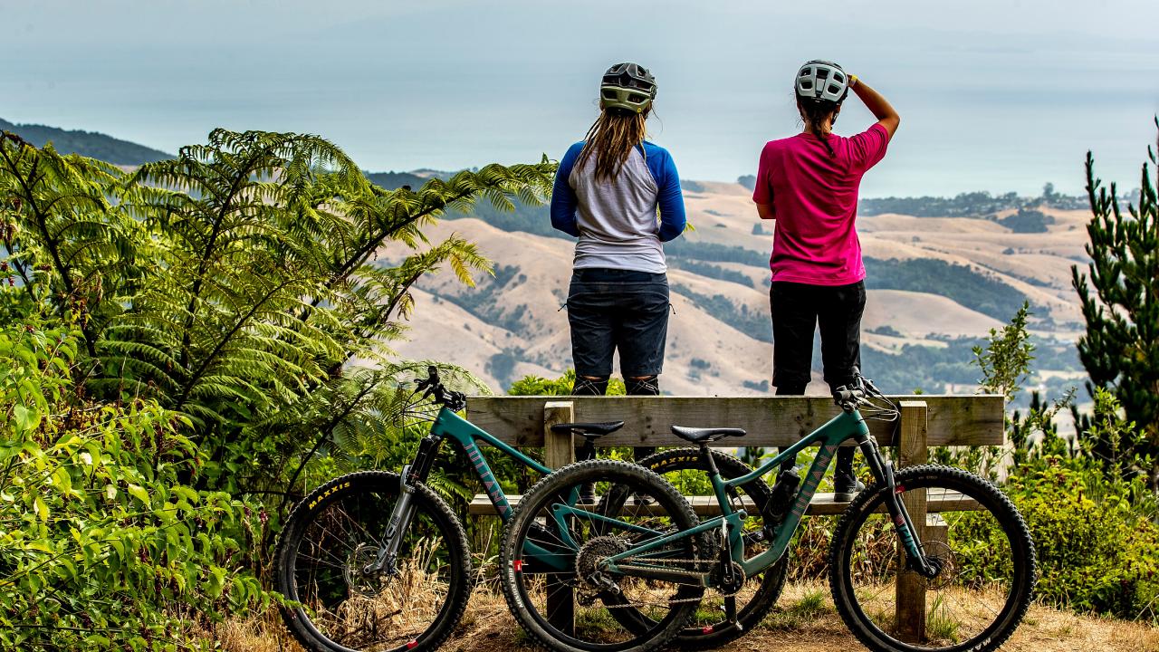 Fourforty mountain bike park online
