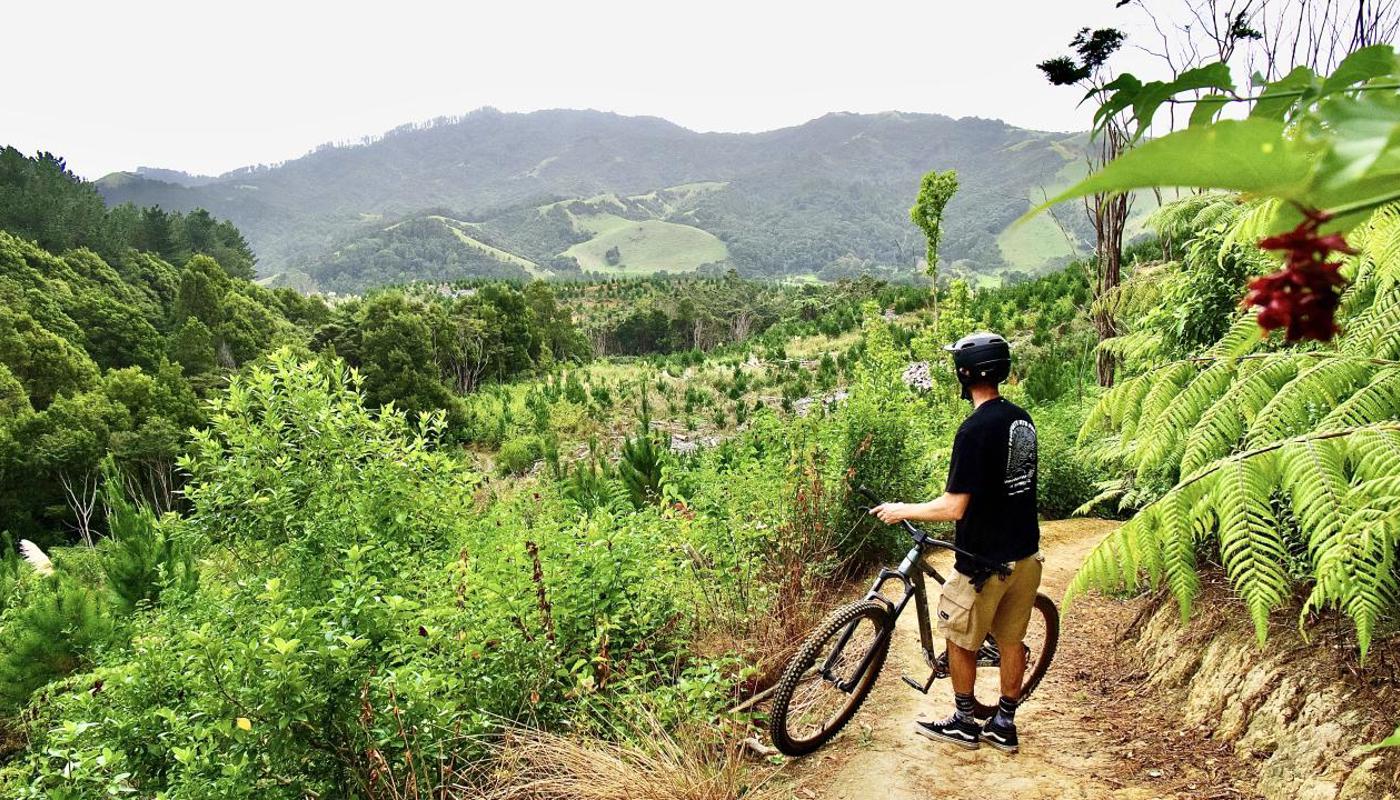 Fourforty Mountain Bike Park Image 4