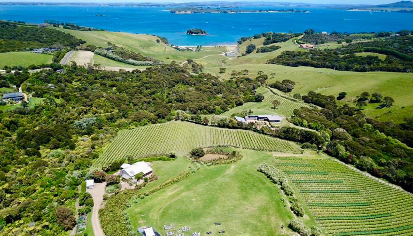 Cable Bay Vineyards Image 1
