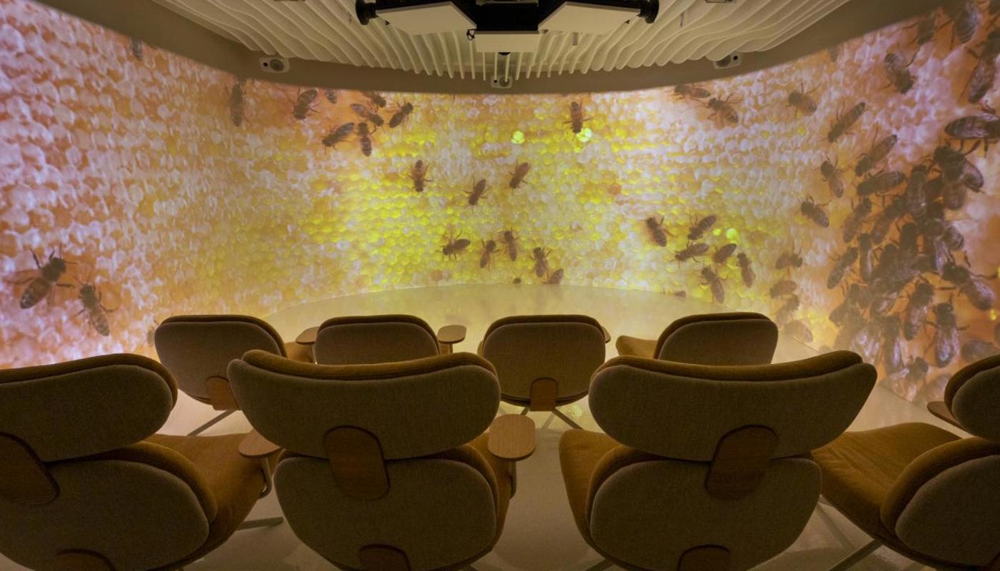 Comvita Wellness Lab Image 3