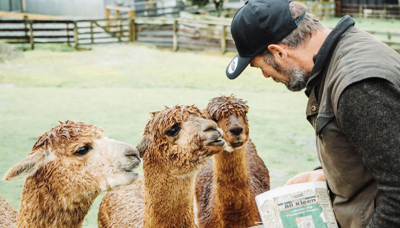 Hand-feeding animals - any time of day 10-4pm, plus our special Animal Feedout Tour daily - 12:30pm.