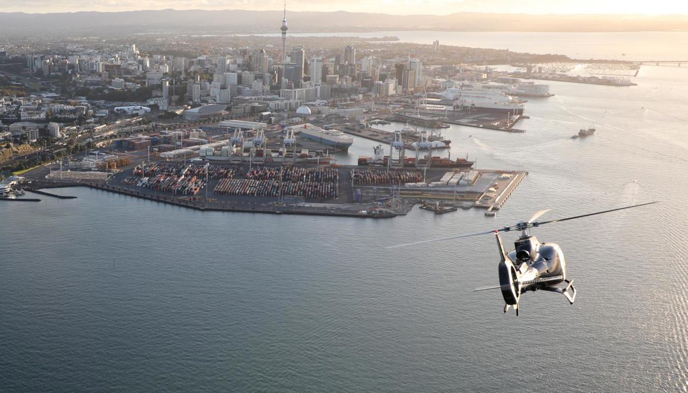 Auckland City Scenic Experiences