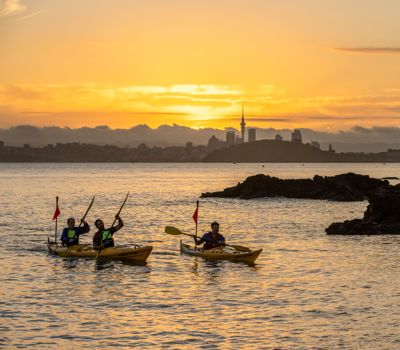Auckland Sea Kayaks