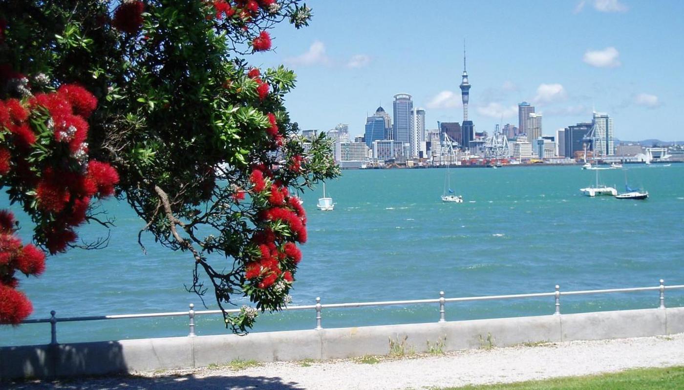 Auckland, die Stadt der Segel