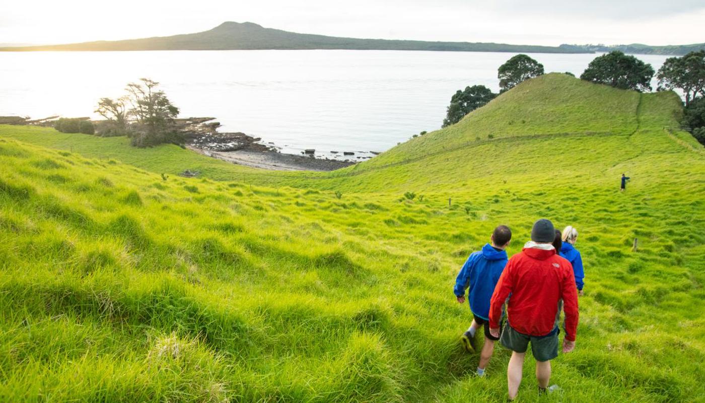 View of Rangitoto from Brown's Island