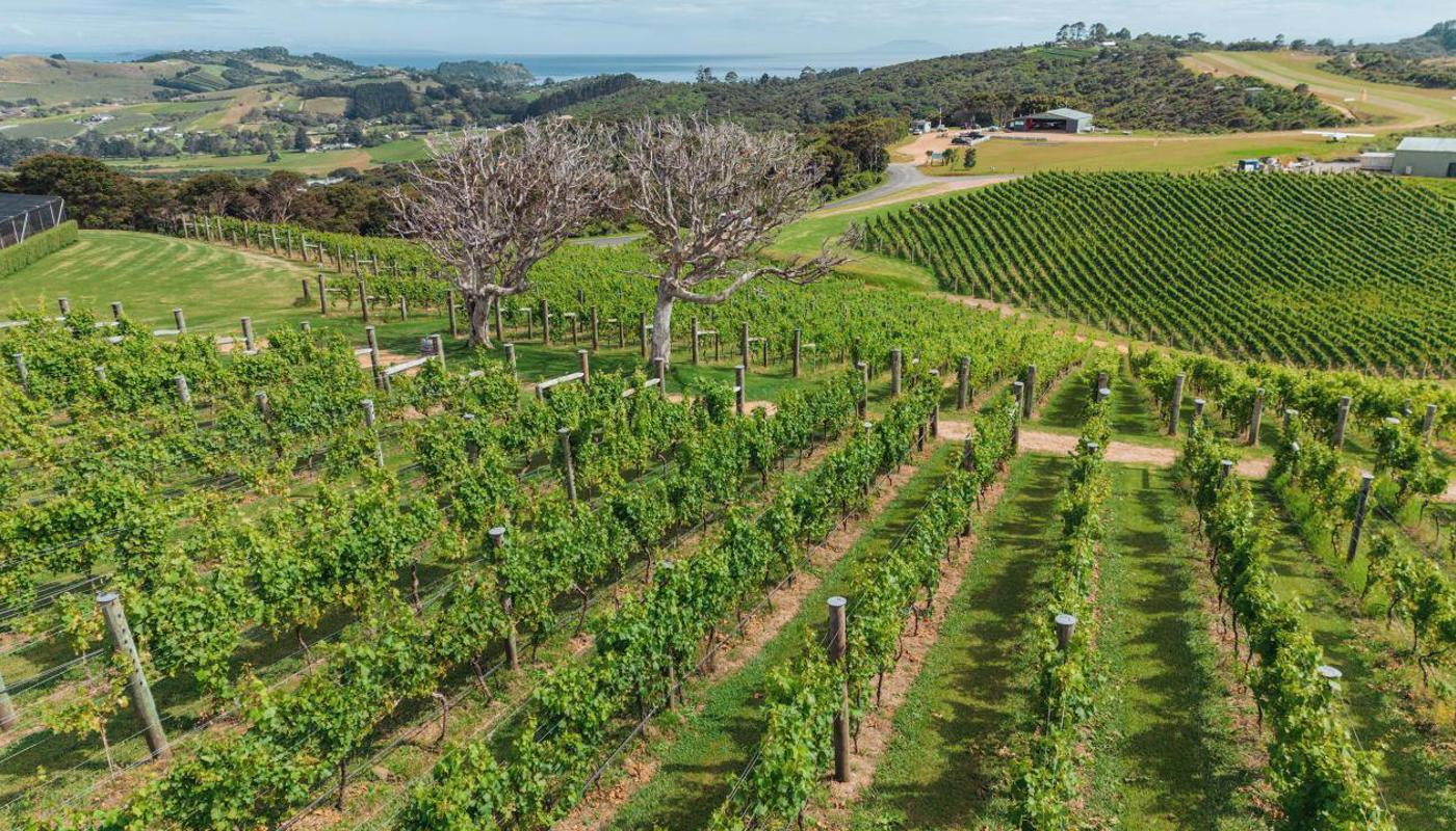Batch Winery Image 4