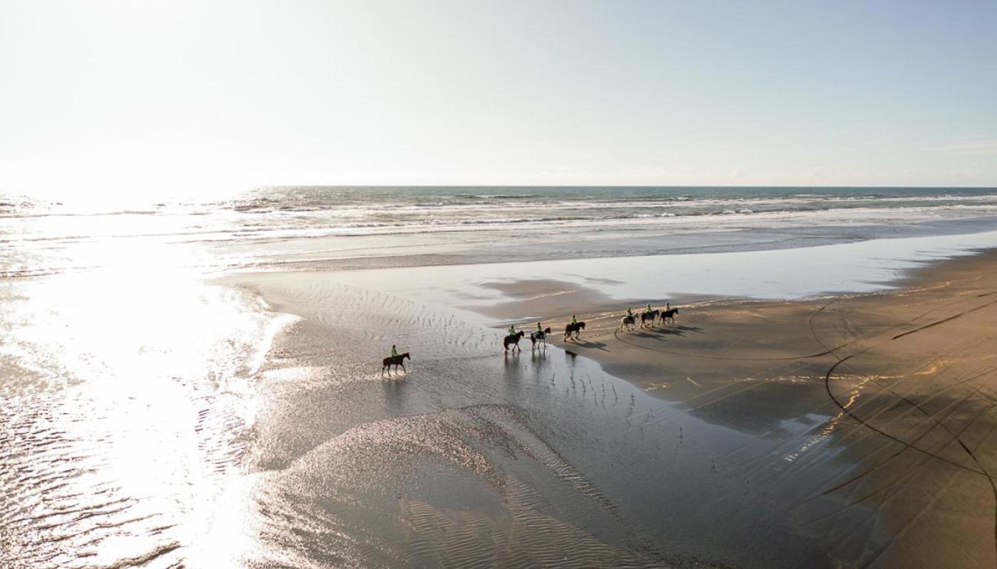 Muriwai Beach