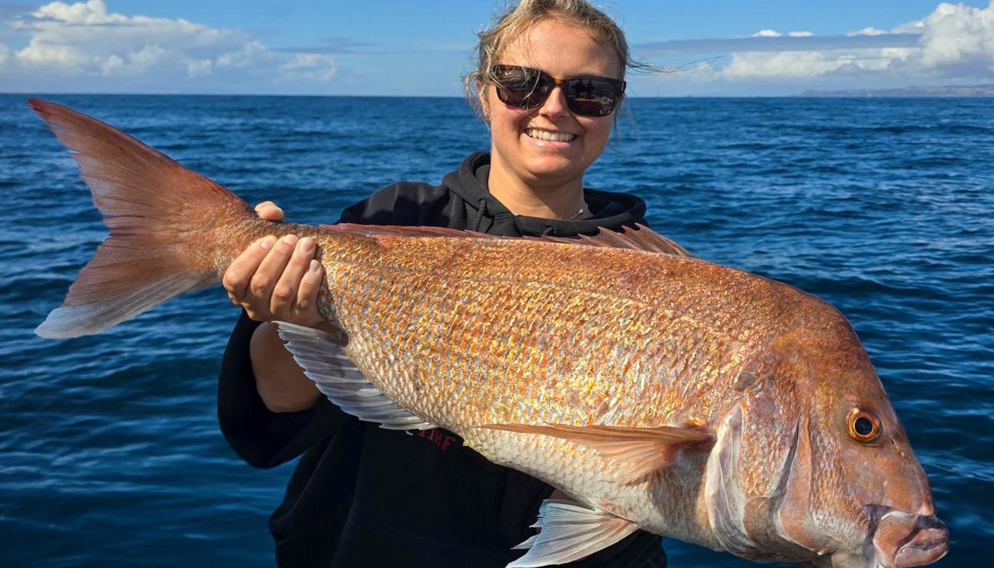 Trophy Hauraki Gulf Snapper