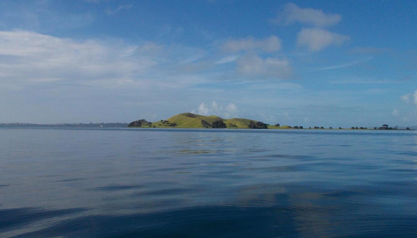 Beautiful Browns Island or Motukorea.