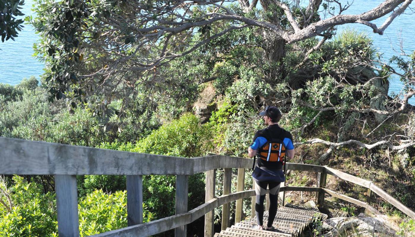Walk from the summit of Browns Island.