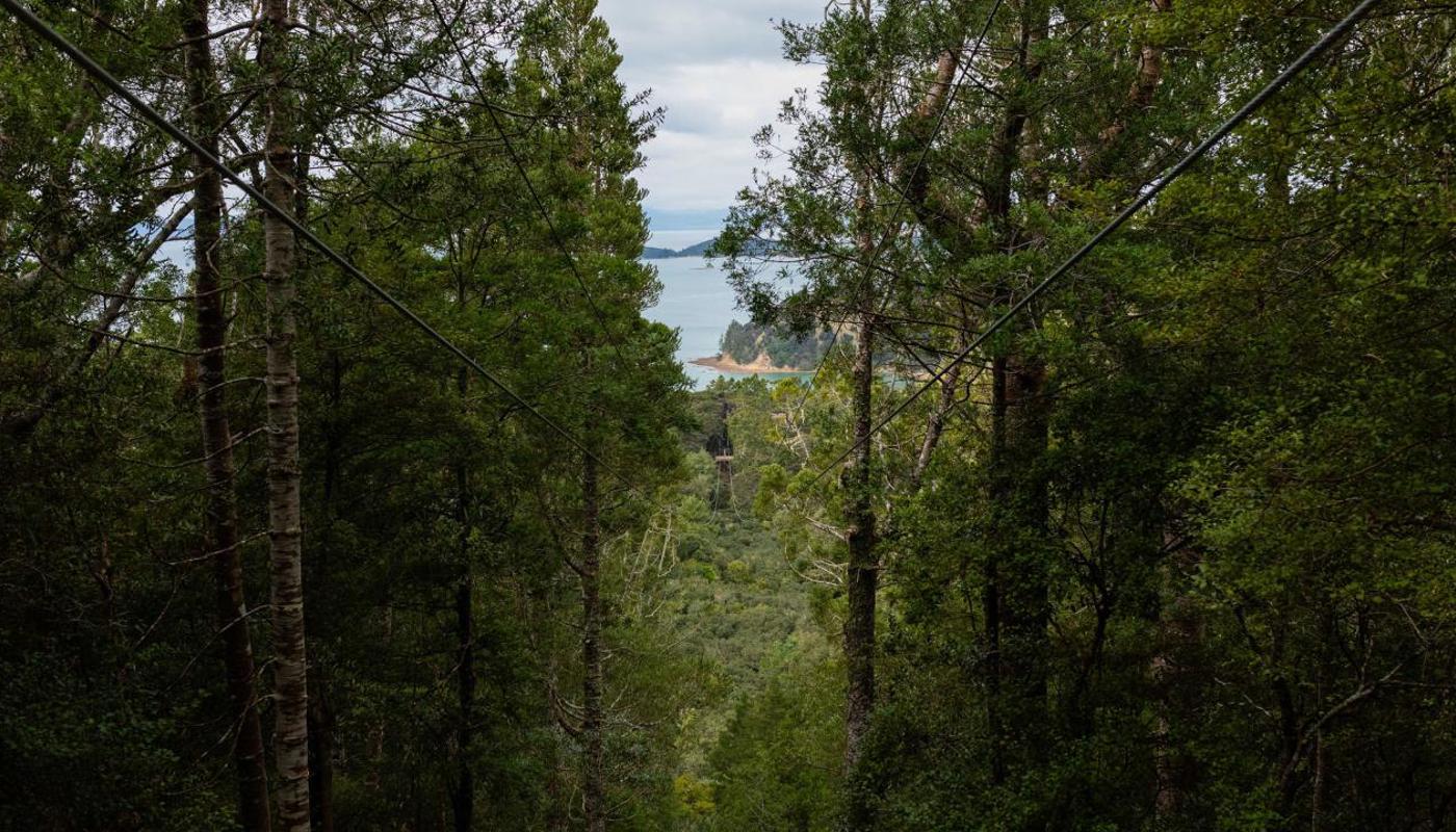 View from top of Zipline 2