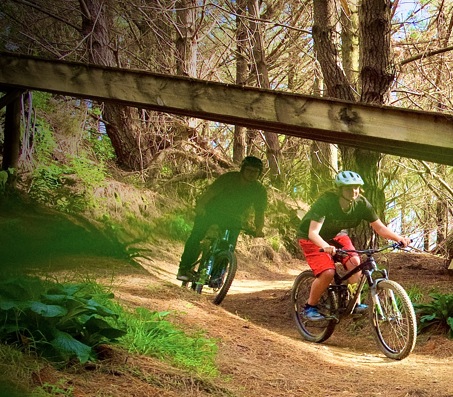 Fourforty Mountain Bike Park