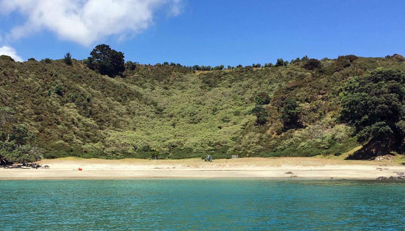 Cactus Bay, on the Bush & Beach Walk