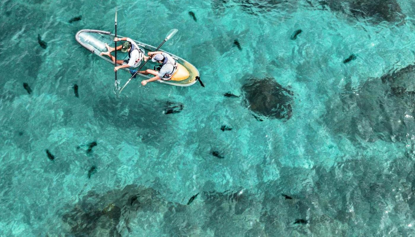 Clearyak surrounded by fish at Goat Island Marine Reserve