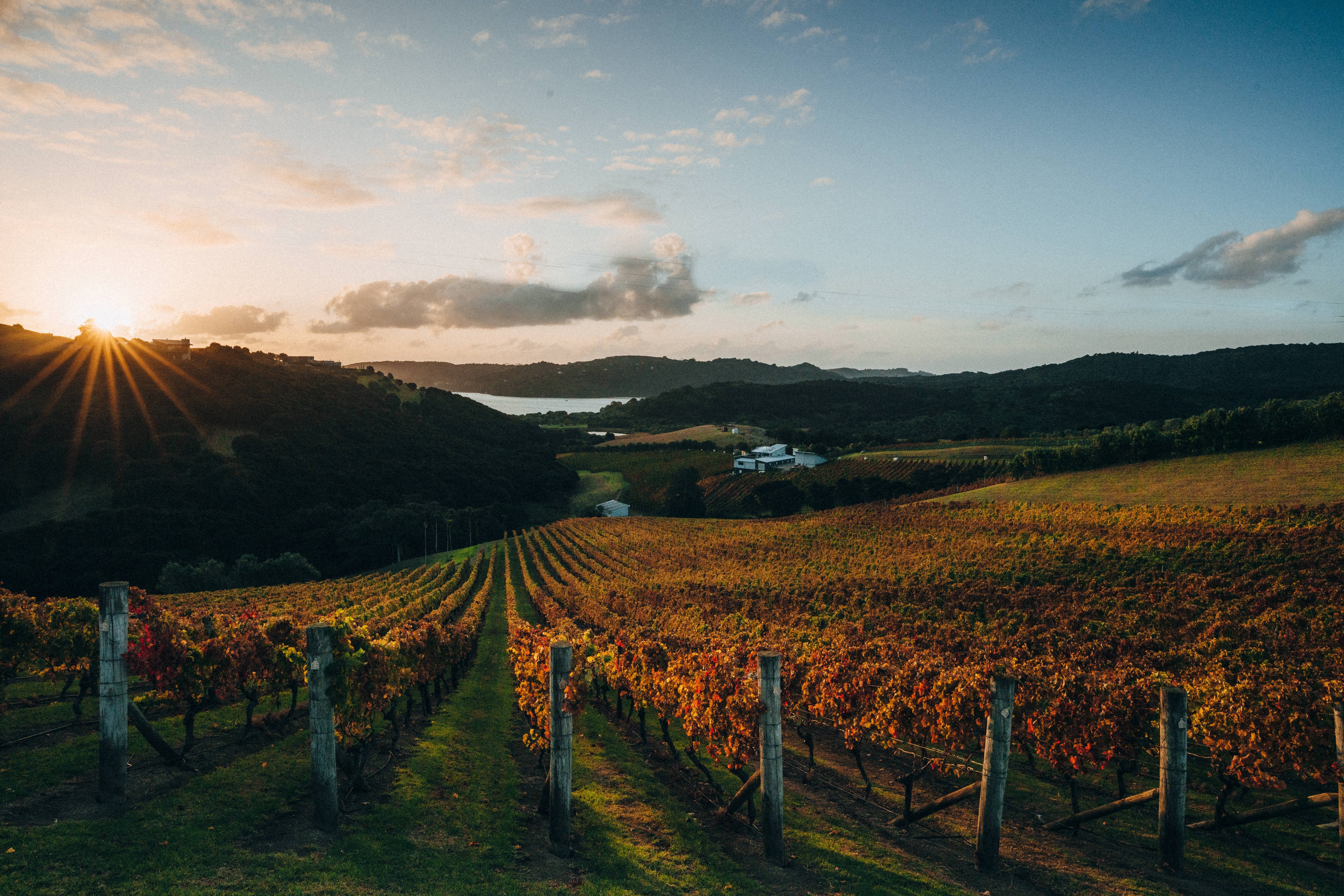 Destiny Bay Wines