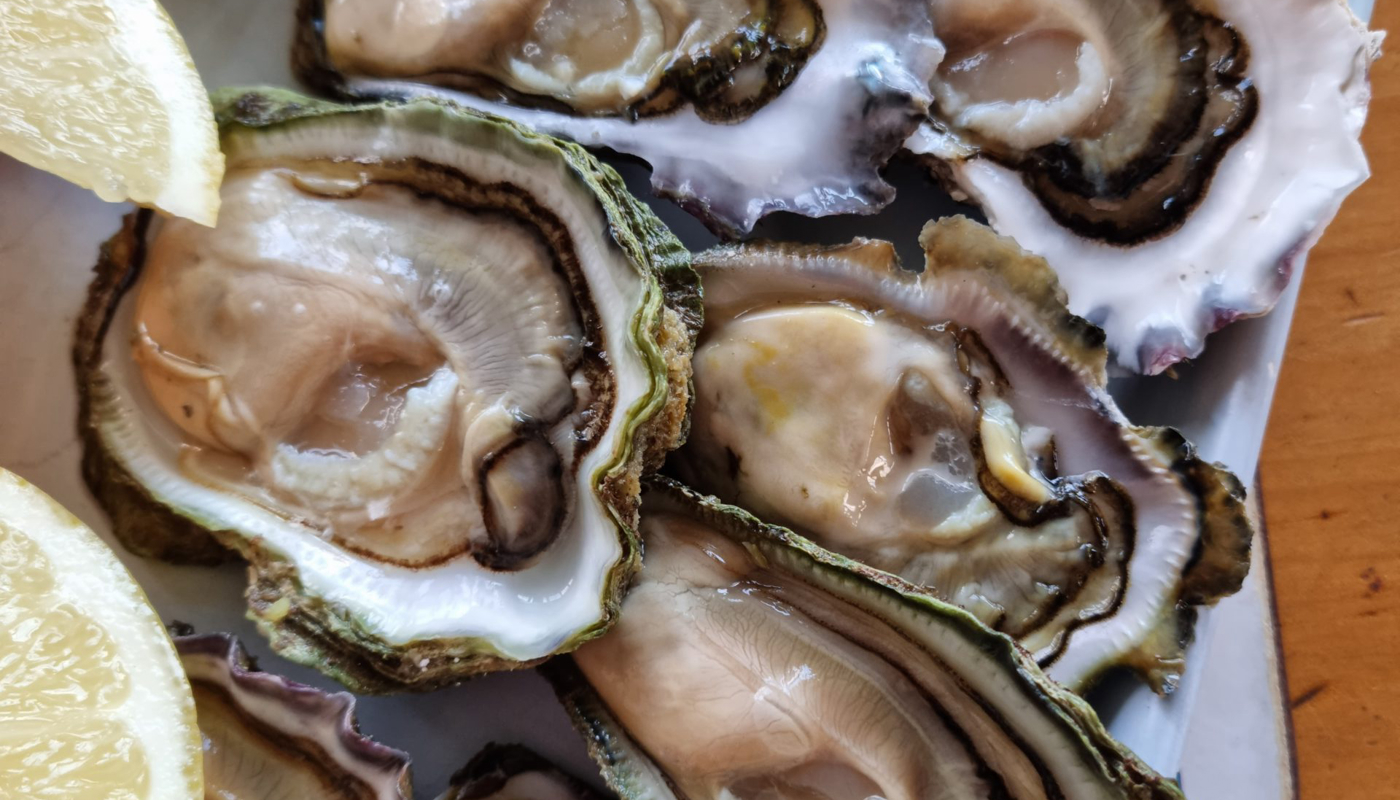 Matakana Oyster Image 1