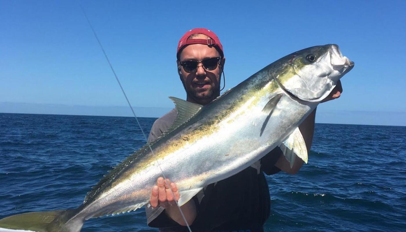 Large kingfish caught at Channel Island.