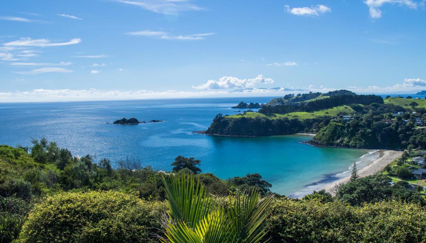 Waiheke incredible scenic views along the way